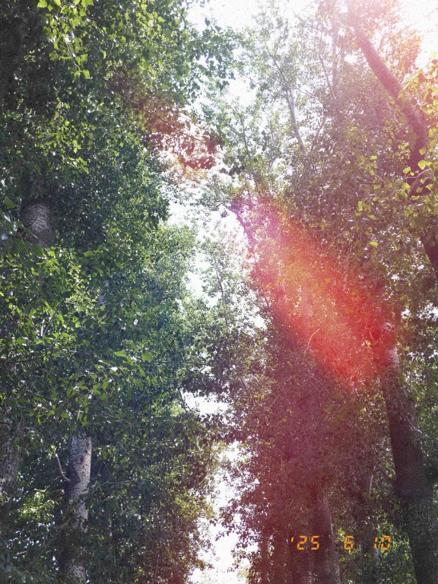 北海公园散步 (3).jpg