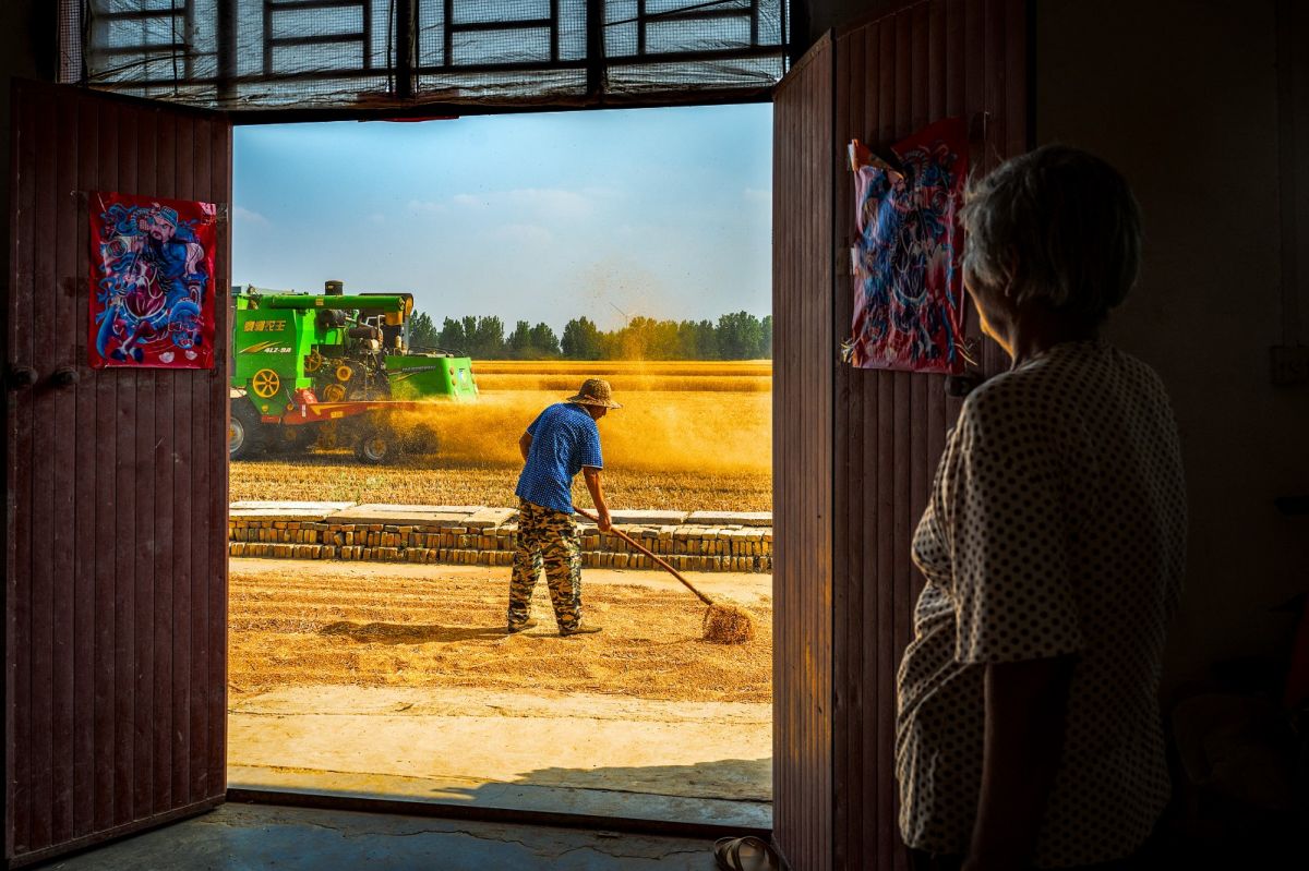 50、20260414第29期4版：门里门外（王真 摄）.jpg