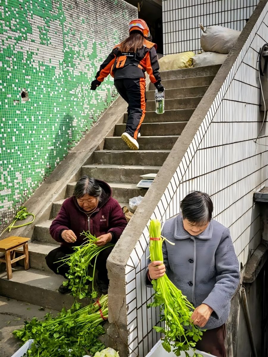 微信图片_2026-05-12_222041_216.jpg