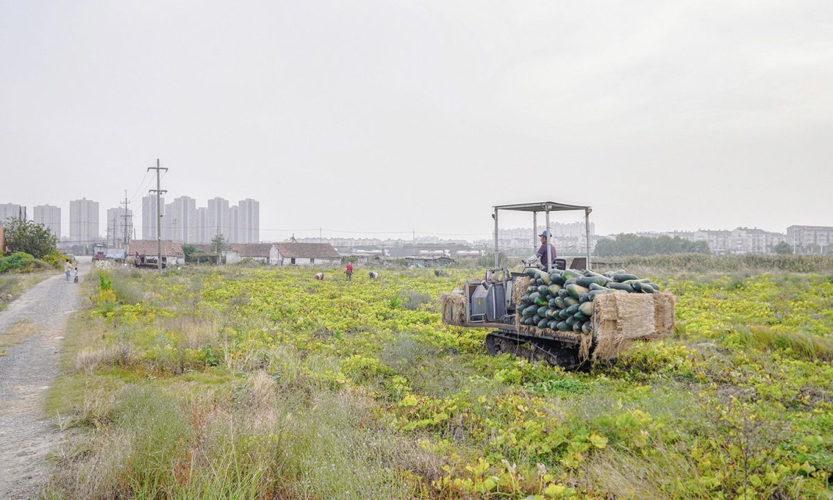 500x300cm-微信图片_20260423163048_1979_84 拷贝.jpg