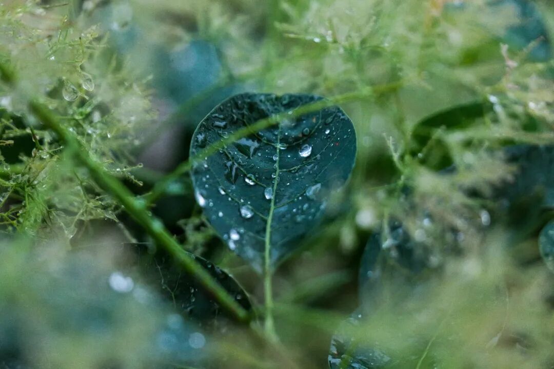 640 (7).jpg