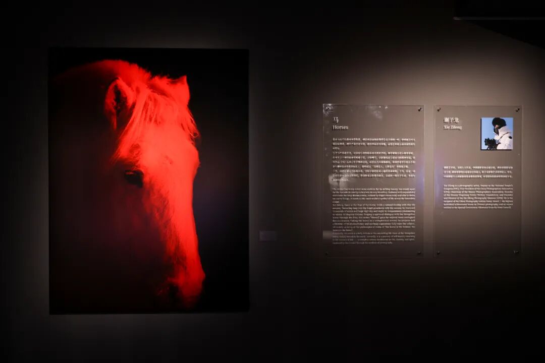 640.jpg