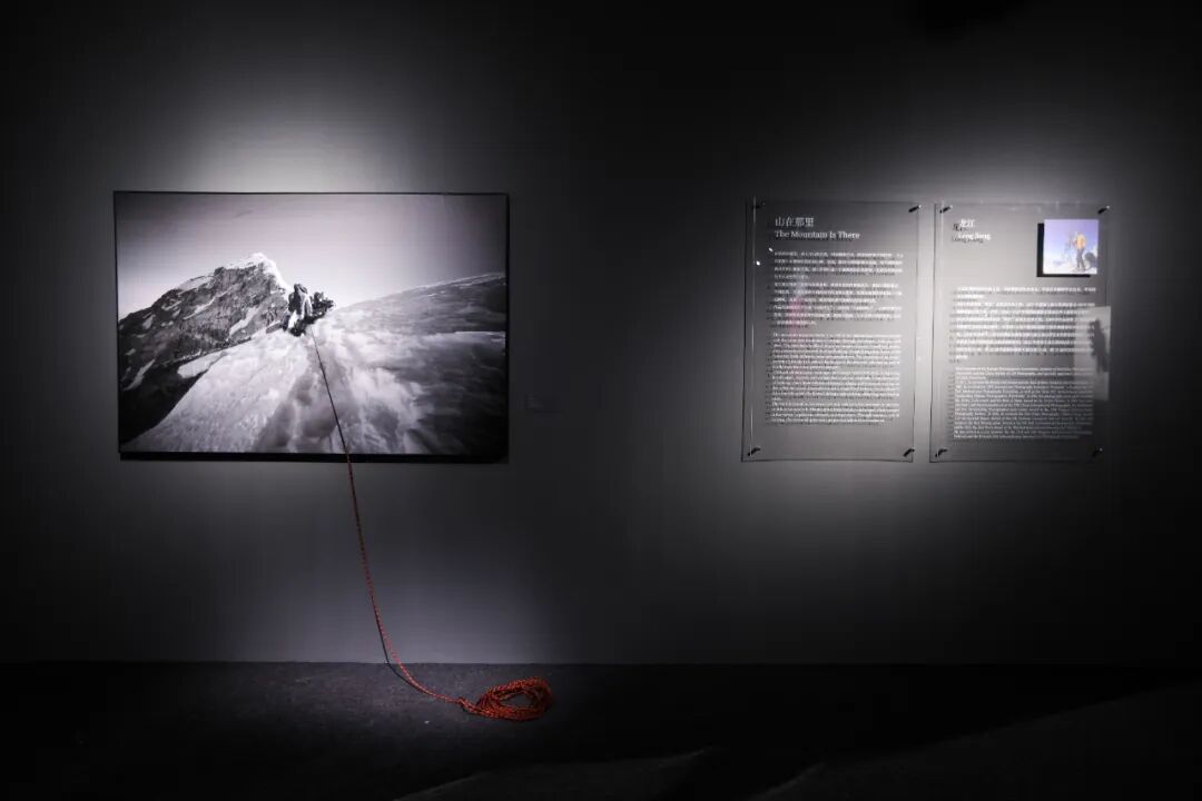 640 (9).jpg